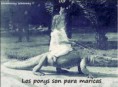/album/fotogaleria/a1238196-578340935557919-1475332809-n-jpg/