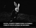 /album/fotogaleria/a1240482-578638305528182-1308581216-n-jpg/